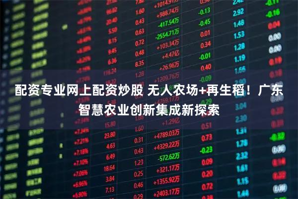 配资专业网上配资炒股 无人农场+再生稻！广东智慧农业创新集成新探索