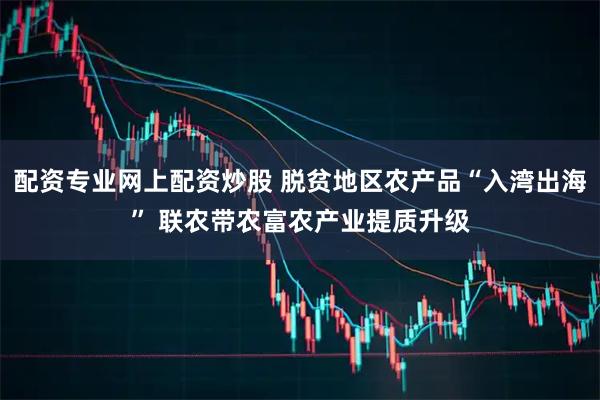 配资专业网上配资炒股 脱贫地区农产品“入湾出海” 联农带农富农产业提质升级